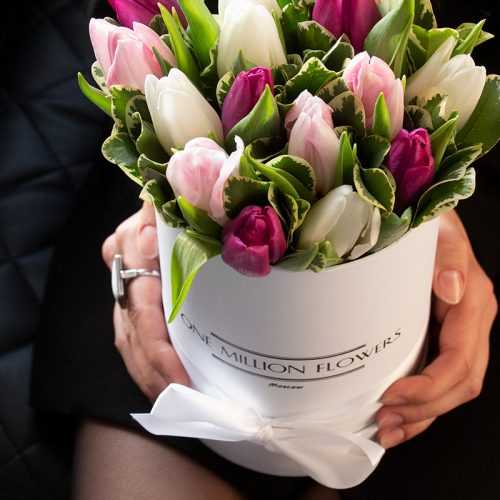 Коробка тюльпанов "Спринг Лайт"