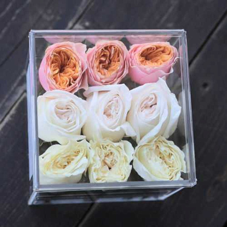 Бокс "Кортни Дэй"