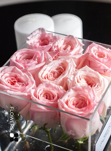 Бокс из 9 "Пинк Охара"